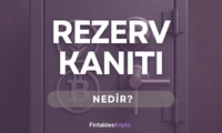 Rezerv Kanıtı (PoR) Nedir?