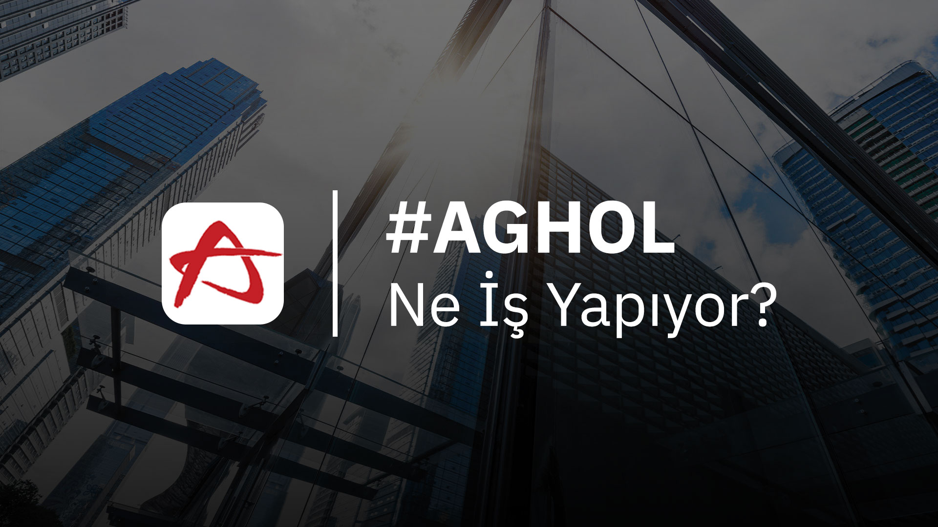 AGHOL Ne İş Yapıyor?