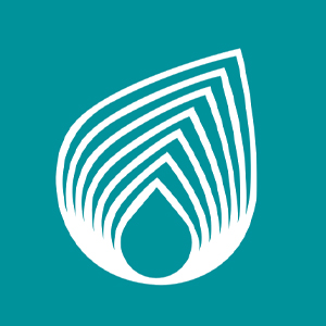 Netaş Telekomünikasyon A.Ş. logo