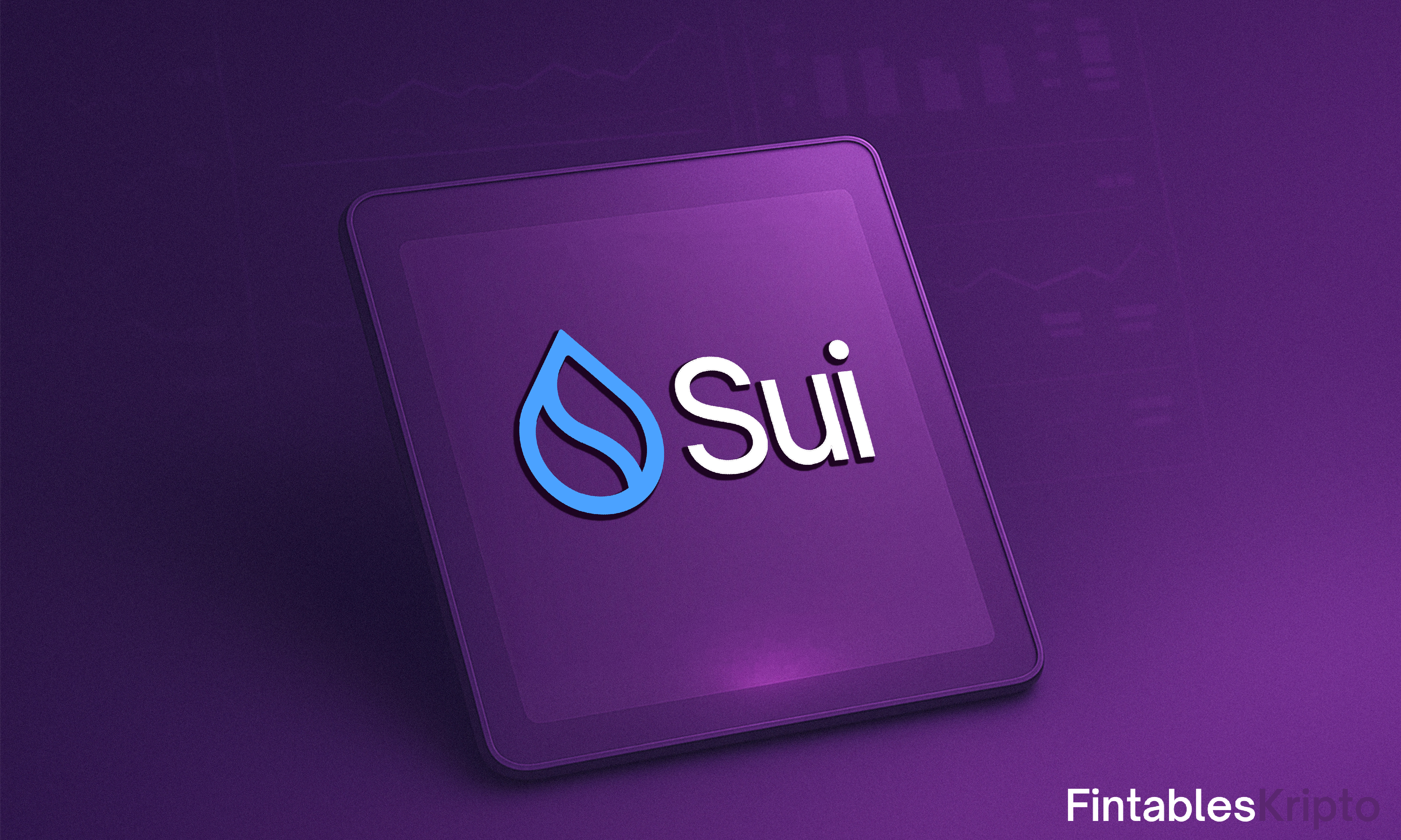 Sui Nedir?