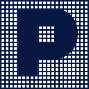 Birinci Hisse Senedi Fonu (Hisse Senedi Yoğun Fon) logo