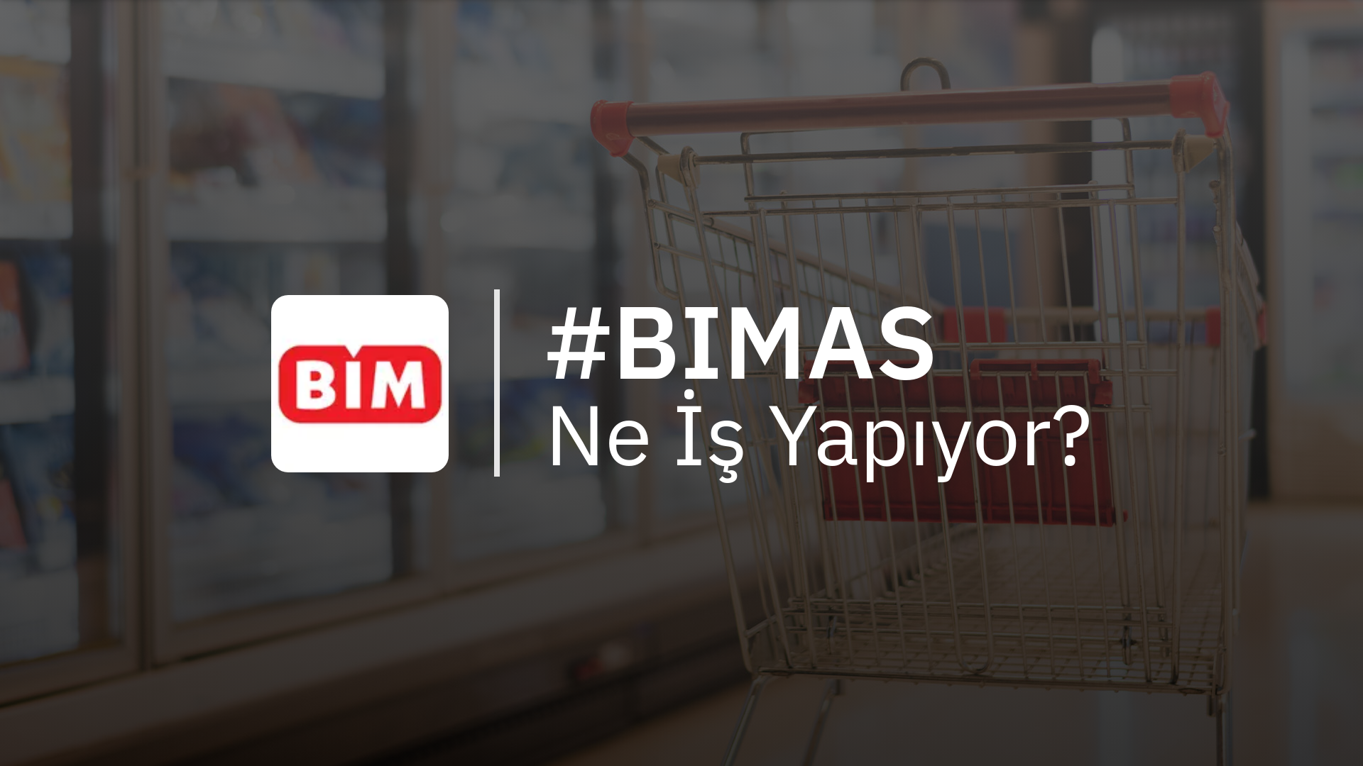 BIMAS Ne İş Yapıyor?