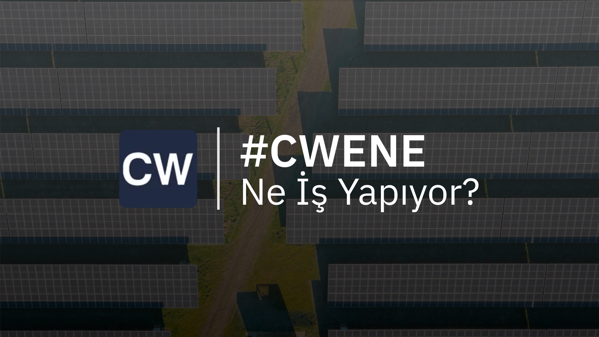 CWENE Ne İş Yapıyor?