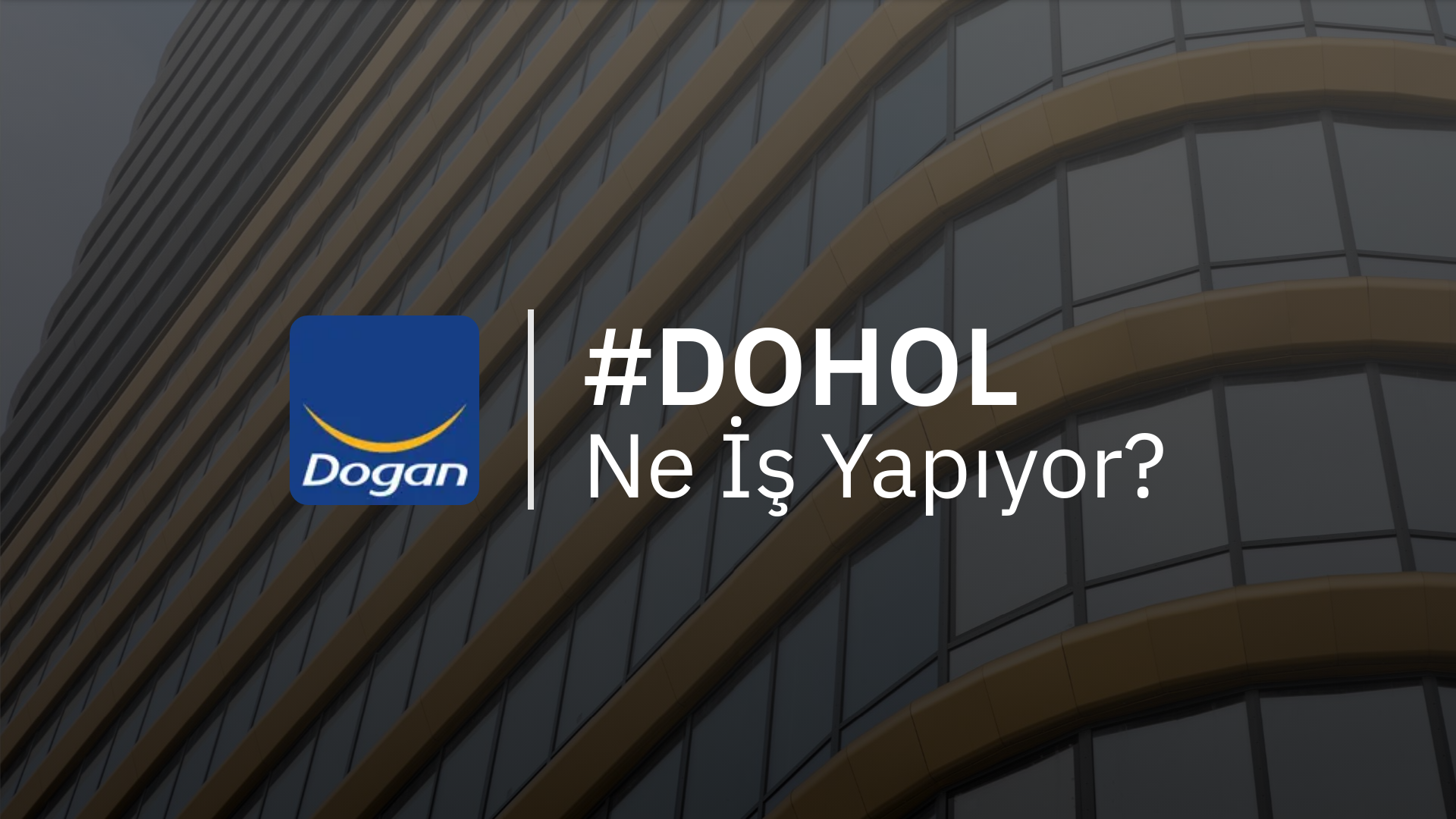 Doğan Holding Ne İş Yapıyor?