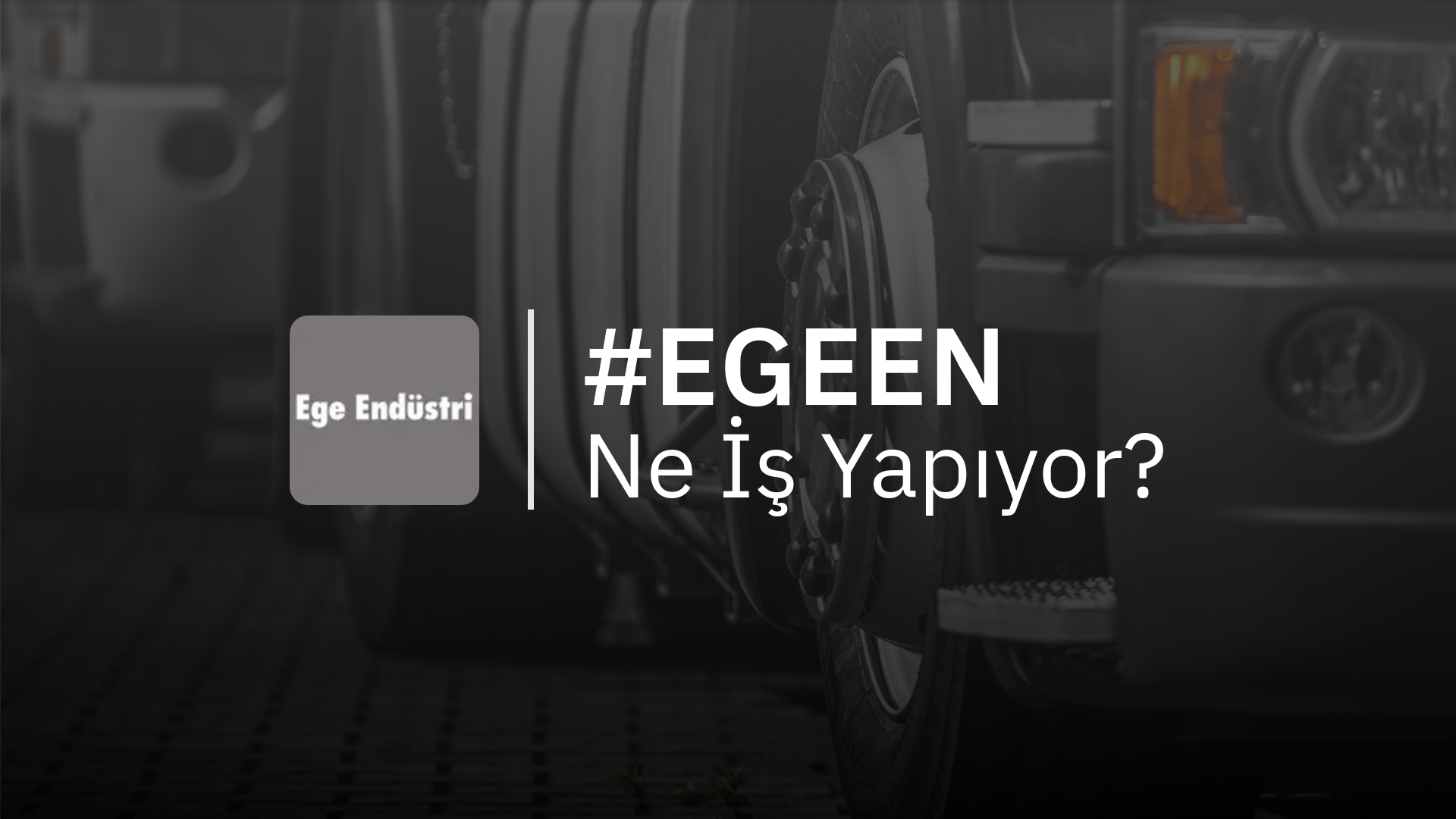 EGEEN Ne İş Yapıyor?