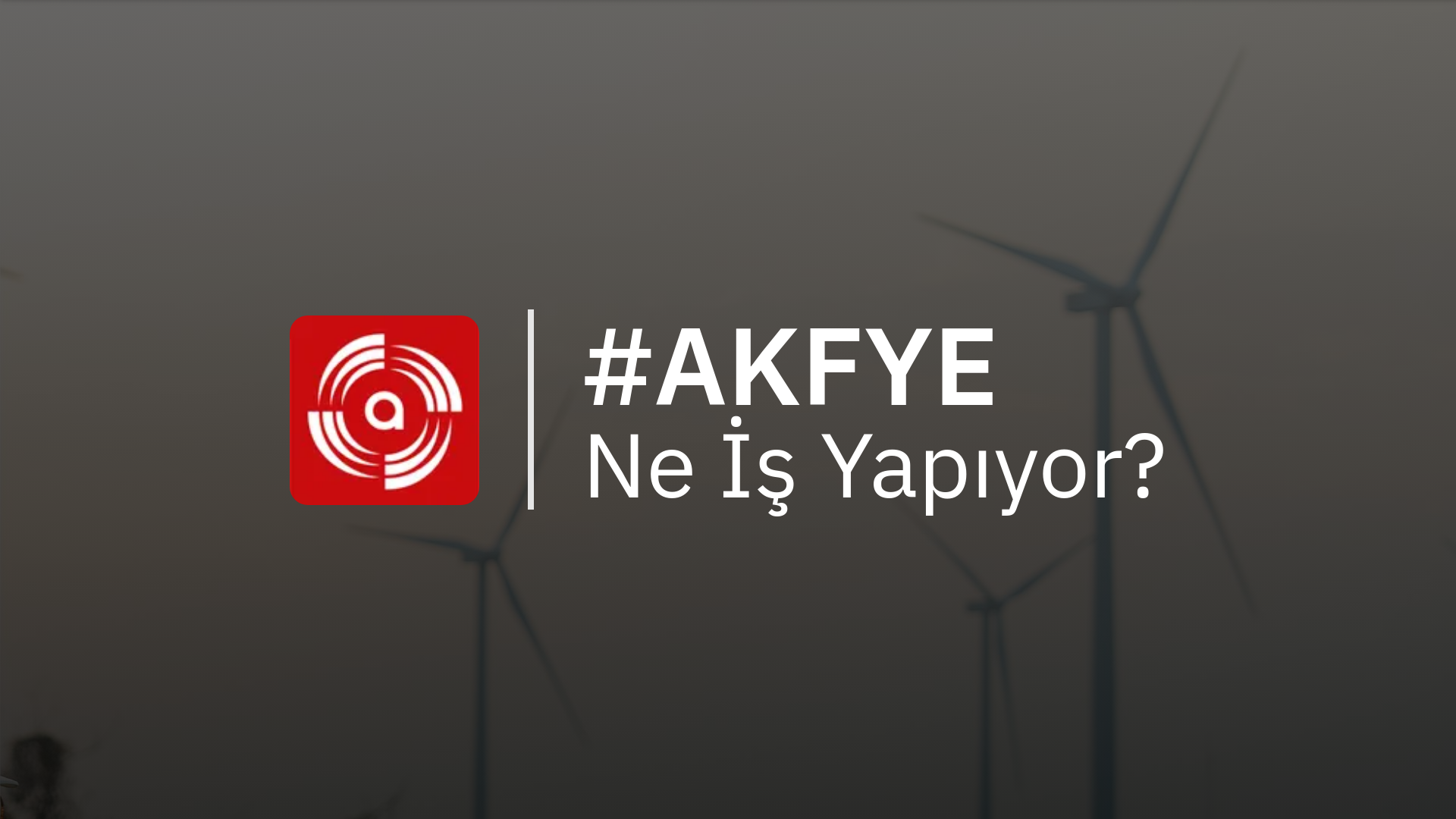 AKFYE Ne İş Yapıyor?