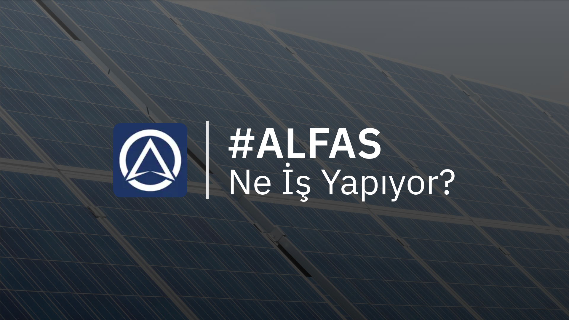 ALFAS Ne İş Yapıyor?