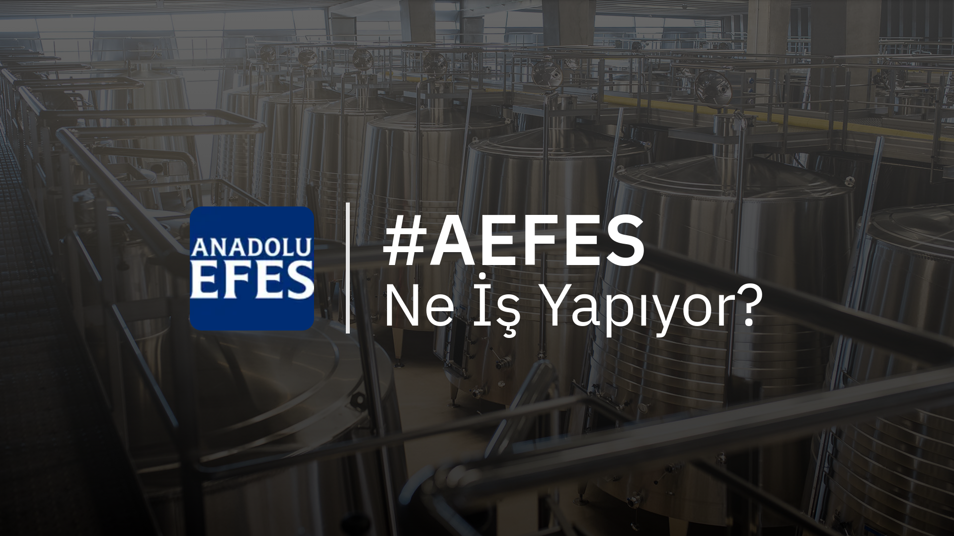 AEFES Ne İş Yapıyor?