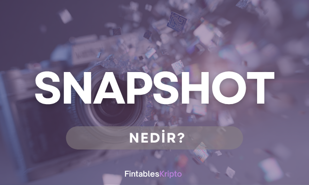 Snapshot Nedir?