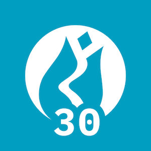 BİST 30 logo