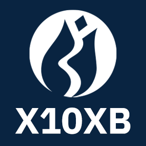 BIST BANKA DISI LIKIT 10 logo