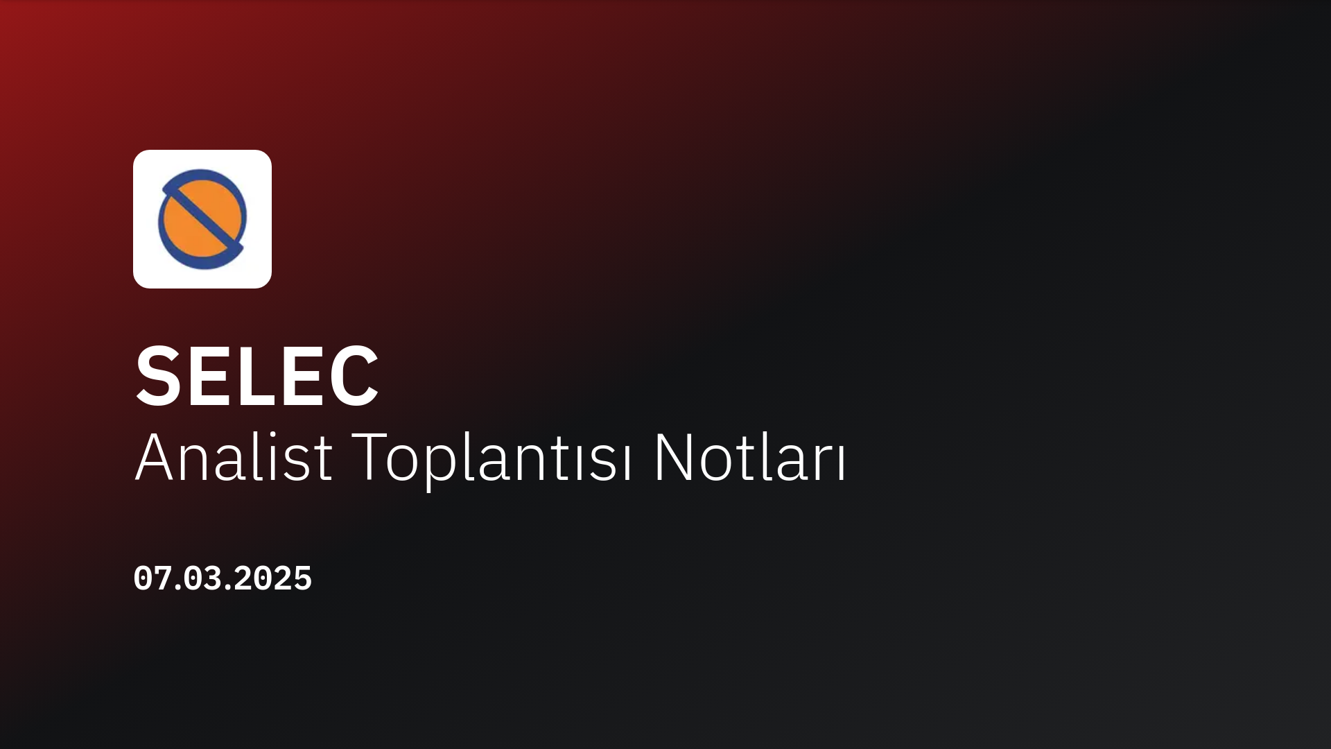 SELEC Analist Toplantısı Notları (2024/12)