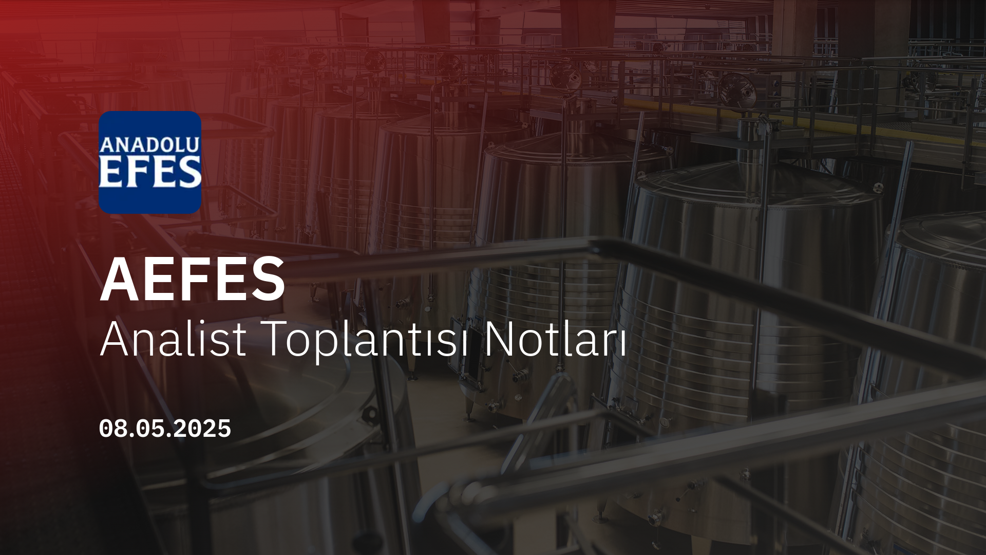 AEFES Analist Toplantısı Notları